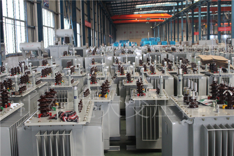 当雄S22-800KVA/10KV